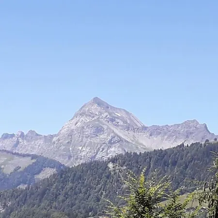 L'orignal 145m2, 10pers, Pied De Piste,spa